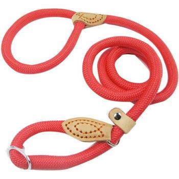 Adjustable Light Walking Dog Leash in Leather and Nylon