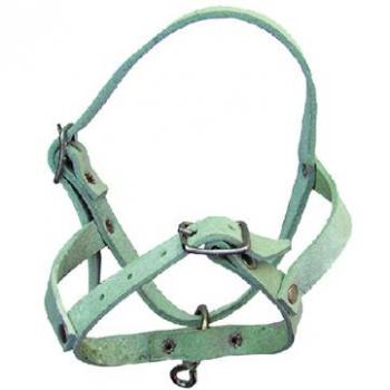 Licol de berger en cuir de buffle