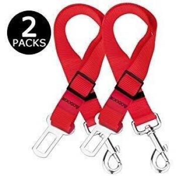 Harnais voiture durable pour chat ou chien avec longueur réglable de 45,5 à 70 cm