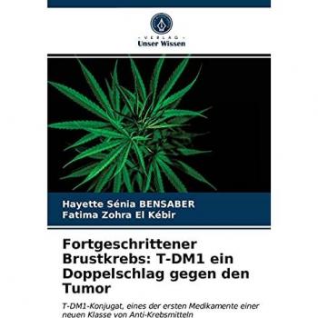 Fortgeschrittener Brustkrebs: T-DM1 ein Doppelschlag gegen den Tumor: T-DM1-Konjugat, eines der ersten Medikamente einer neuen Klasse von Anti-Krebsmitteln