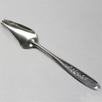 Bird Feeding Spoon Set