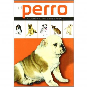 El perro: Características, educación y cuidados