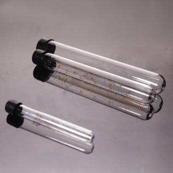 Tube à essai en verre 10 pièces avec capuchon à vis