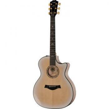 Taylor 614ce 50 Jahre Jubiläum Grand Auditorium