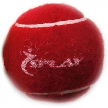 Splay Cricket Tennis Ball