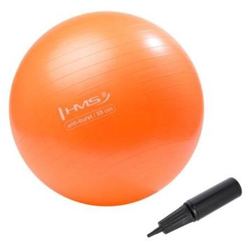 Ballon d’entraînement HMS YB02 55 cm couleur orange