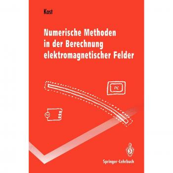 Numerische Methoden in der Berechnung elektromagnetischer Felder (Springer-Lehrbuch)