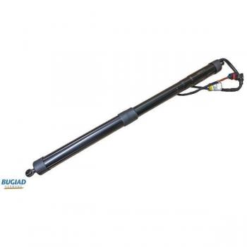BUGIAD Vérin de coffre BRD50719 pour VW et SEAT