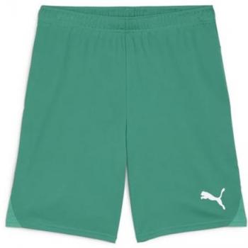 PUMA Sporthose PUMA teamGOAL Short teamGOAL