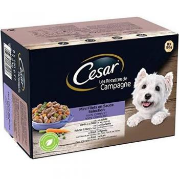 CESAR Nourriture pour Chien