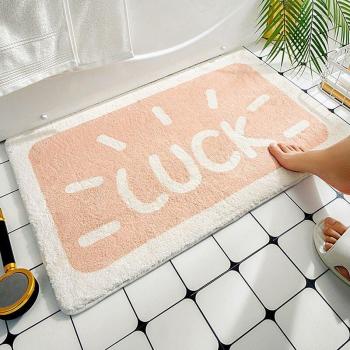 Tapis de porte absorbant