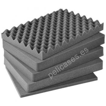 Funda para PELI STORM CASE™ iM2450 con espuma