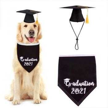 Casquette félin diplômée – Pack décoratif 2 pcs