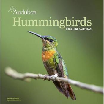 Workman Calendars Audubon Hummingbirds Mini Wall Calendar 2026 Calendar Book