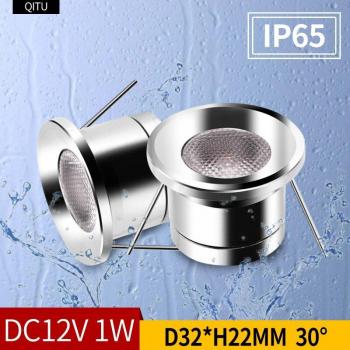 ShowerLite Mini Downlight 12V