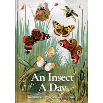 An Insect A Day