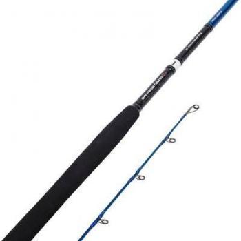 Canna Jigging Shore Savage Gear SGS2 10' MH 30-100g