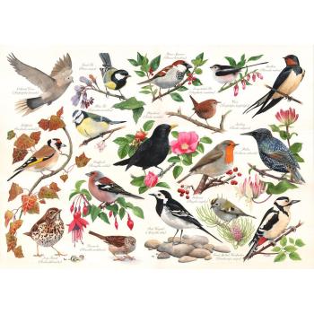 Oiseaux en Fête – 1000 Pièces House of Puzzles