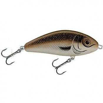 Salmo Fatso sinkende 10cm Arkansas