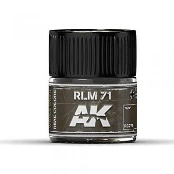 AK Interactive RLM 71