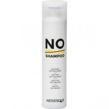 Künstlerisches Shampoo für blonde Haare 250 ml