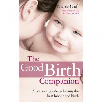 The Good Birth Companion: A Practical Guide to Having the Best Labour and Birth
