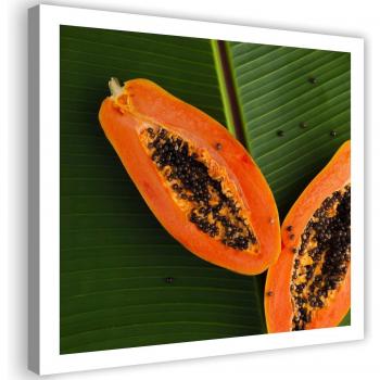 Cuadro Decorativo Hojas de Papaya 30x30 Naranja