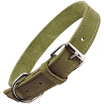 Collier Chien Gloria Oasis Vert 35 x 1,2 cm