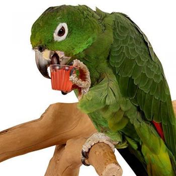 Aardbei Fruitcupset Back Zoo Nature – 6 stuk