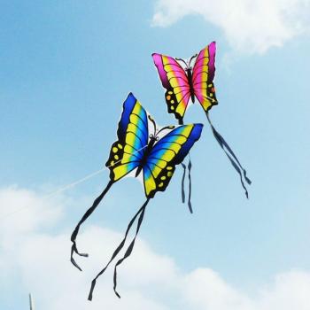 Ripstop Nylon Butterfly Kite