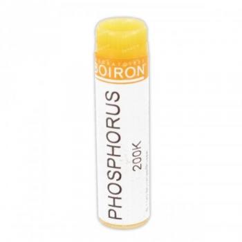 Phosphorus Flavus 24Lm