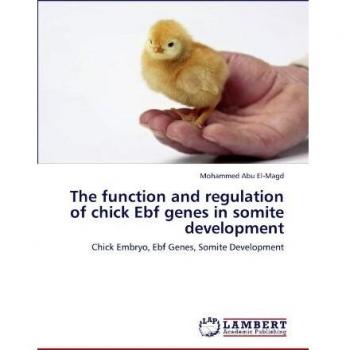 The function and regulation of chick Ebf genes in somite development: Chick Embryo, Ebf Genes, Somite Development
