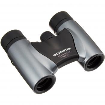 Olympus Fernglas 10 x 21 mm, Argento Scuro