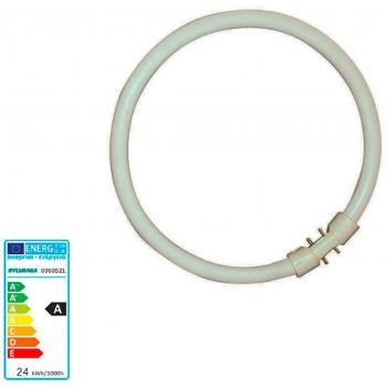 Tubo Sylvania CIRCLINE PLUS T5 840 K 22 W