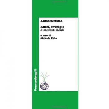 Agroenergia. Attori, strategie e contesti locali