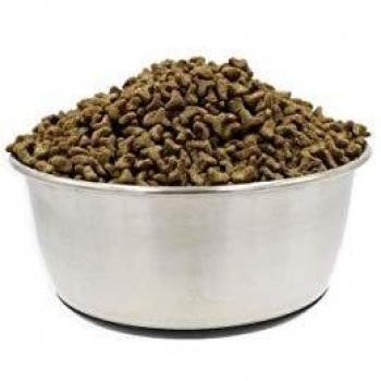 Bol pour Animaux Tyrol en Inox Antidérapant 16 cm