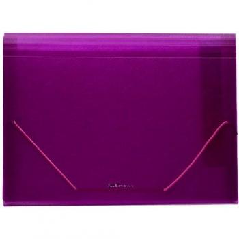 Clasificador Violeta 12 Divisiones Plus Office A4