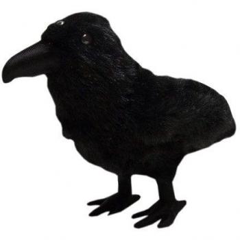 Oiseau Roussié à Trois Visages Game of Thrones