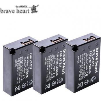 LP E17 Battery and Dual Charger for Canon EOS Cameras