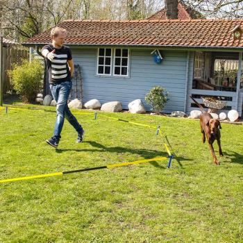 Konzentrationsförderndes Longier Set für Hunde von Schecker (3-3,5m)