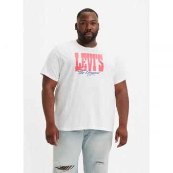 Levi's Plus Size Big Relaxed Fit T-Shirt for Men