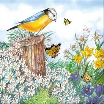 Ambiente Elegante Papierservietten Birdwatching 20 Stück 33x33cm