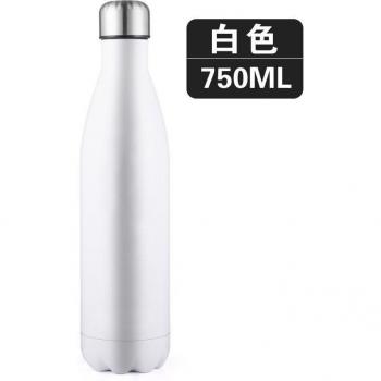 Botella Vitalidad Inoxidable