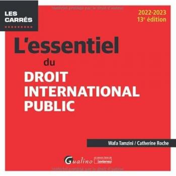 L'essentiel du droit international public : 2022-2023