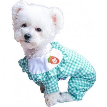 Ropa para Perro de Cuatro Patas