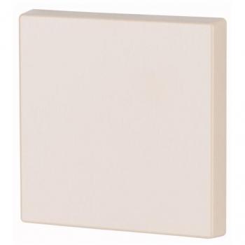 Kryt RF tlačítka 55x55 mm lesklý, 1-0