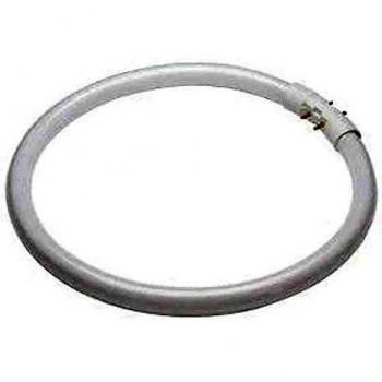 Sylvania T5 840 mm Lampada Circline Plus 40 W Bianco Freddo