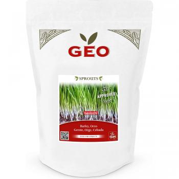 Graines d'Orge Germées Bio 600 g Bavicchi