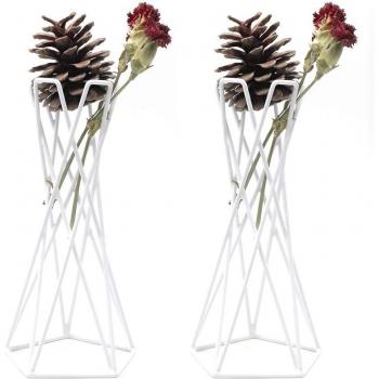 Tabletop Air Plant Holder