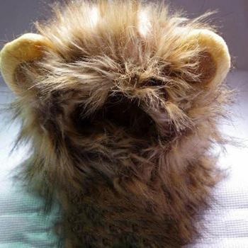 Vestido de Fantasía Animal: Orejas Cortadas